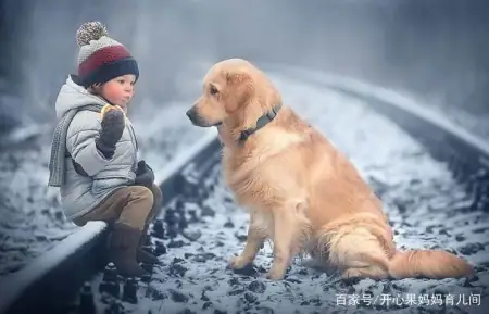 不敢生二胎之“拆家”系列:只要宝宝够努力,迟早家徒四壁 第11张 不敢生二胎之“拆家”系列:只要宝宝够努力,迟早家徒四壁 第11张